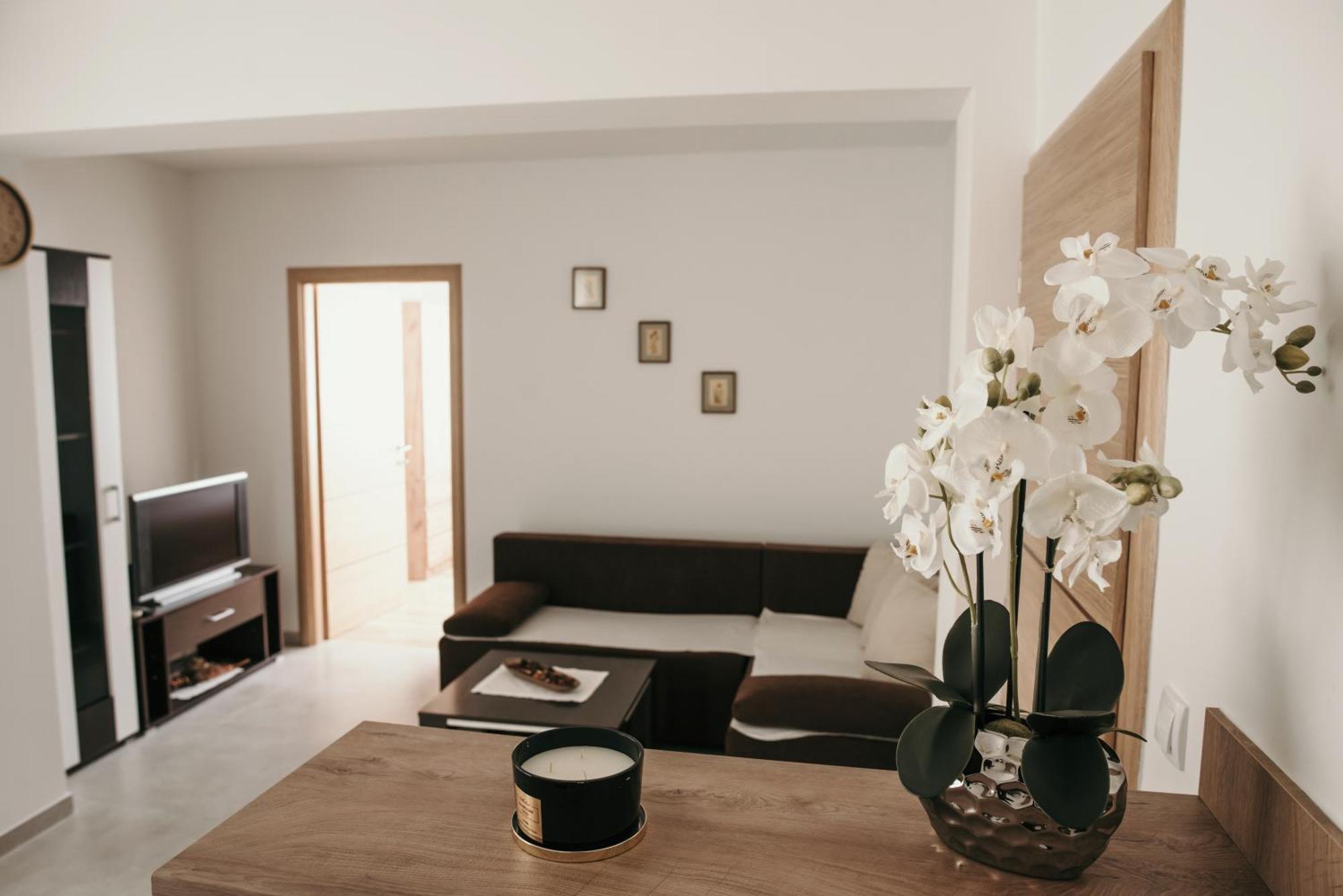 Apartman Krznaric Zupanja Buitenkant foto